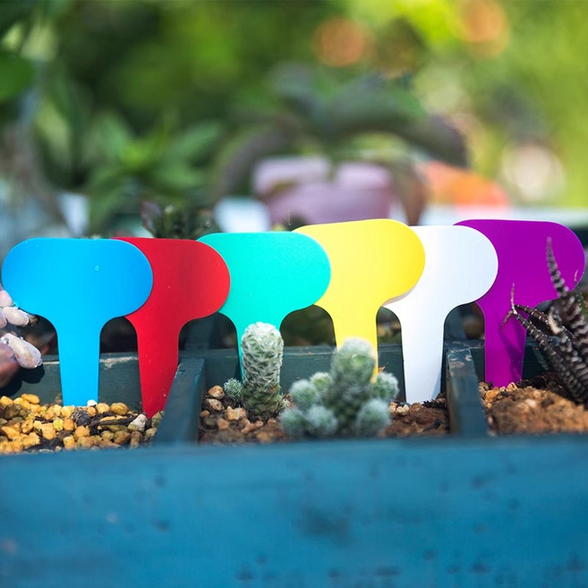 가꿈 라운드 식물이름표 다육이 농장 귀여운 티라벨 화분, 옐로우