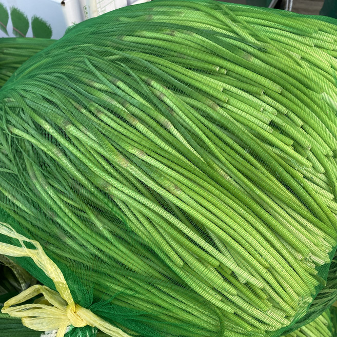 안동농산 국산 마늘쫑 햇마늘쫑 벌크, 1개, 3kg