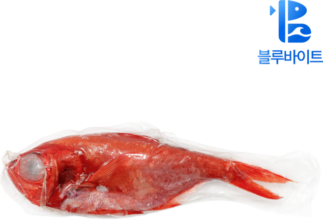 고급 금눈돔 킨메다이 400g 500g 600g, 1개, 고급 금눈돔 L사이즈 600g up)