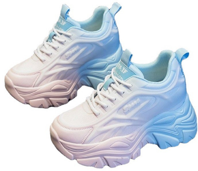 SHENGHUI여성 봄가을 키높이 운동화 패션 뉴 통굽 메쉬 통풍 운동화 여성 키높이 스니커즈23N9*15LW