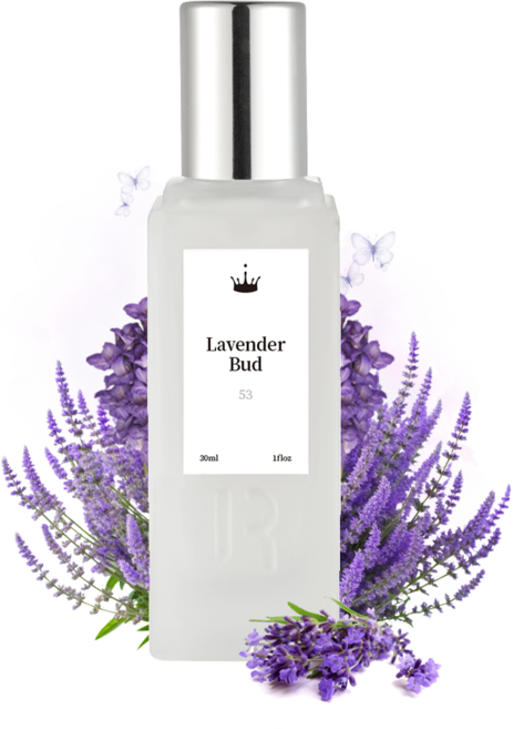 라벤더 버드 엑스트레 드 퍼퓸 30ml, 53. 라벤더 버드, 1개