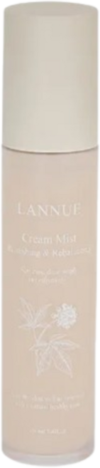 여름에딱이야 즉각적인 보습 크림미스트 랑느, 2개, 100ml