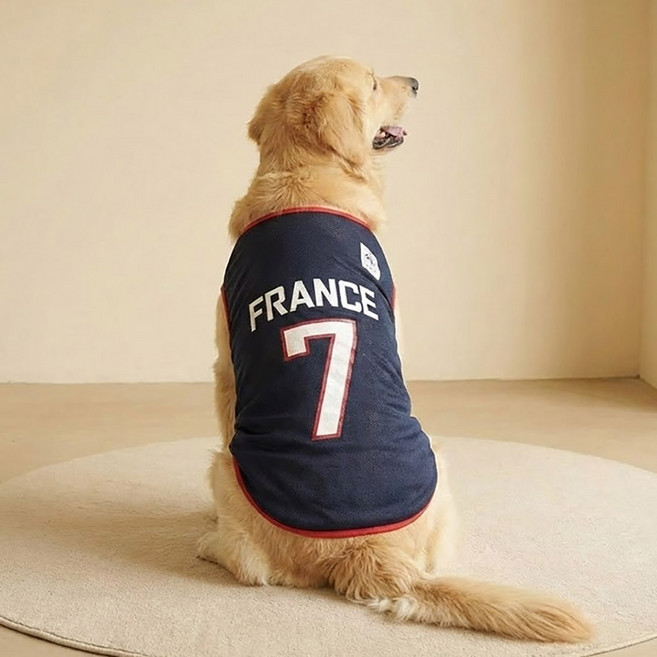 쪼꼬마미 강아지 국가대표 축구복 농구복 유니폼 대형견 옷 빅사이즈 6XL 여름 쿨조끼 메쉬 민소매 애견의류 골든리트리버 시밀러룩 커플룩 6종, 1개, 프랑스