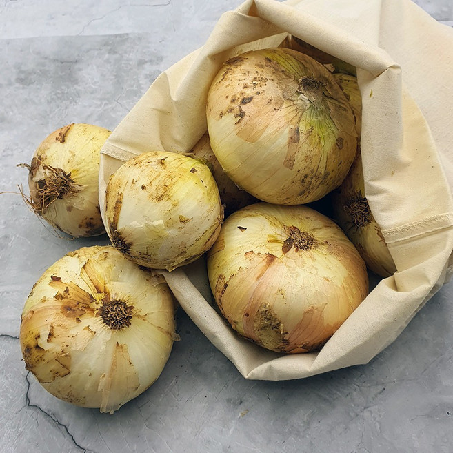 26년 무안 햇양파 장아찌용(소) 3kg