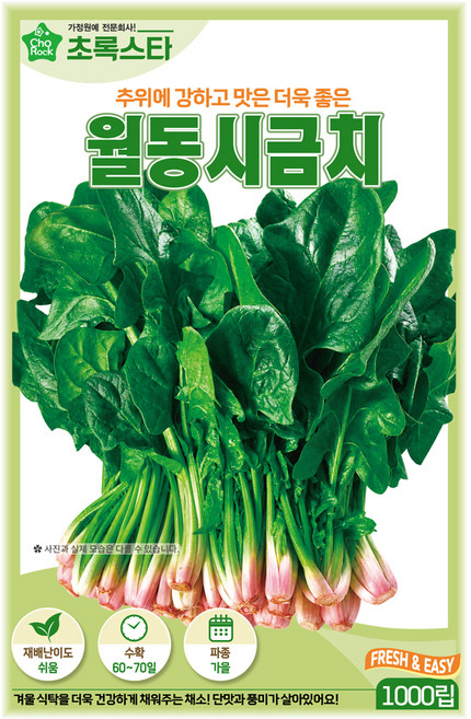 초록스타 월동시금치 1000립 시금치씨 섬초 씨앗 쉬운재배 인기씨앗 무배, 1개