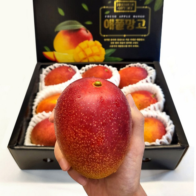 제주섬 애플망고 꿀당도 선물용 세트 800g 1kg 2kg 3kg, 1박스, 선물용 2kg 6-8입