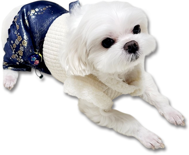 멍멍이룩 강아지한복 고양이 애기씨 도련님, 올인원