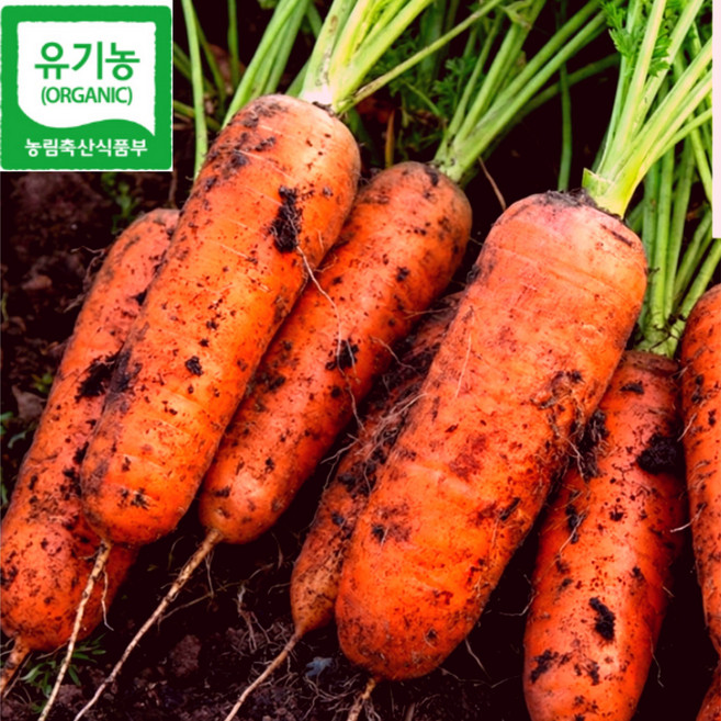 [리뷰증명] 유기농 당근 국내산 산지직송, 1박스, 5kg