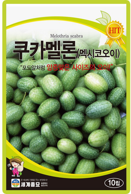 산들마켓 쿠카멜론 오이씨앗 10립 포도알 처럼 작은 사이즈의 멕시코 오이씨 종자