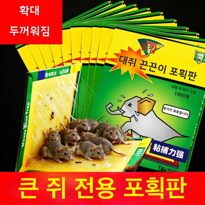 {초강력포획}대형 쥐에게도 확실히 | 두꺼운 쥐덫포획판 | 호텔 | 호텔 | 실내용 두꺼운 쥐덫판, 2개, 1개입