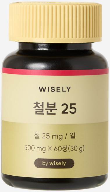 와이즐리 철분 25 (2개월분), 60정, 1세트