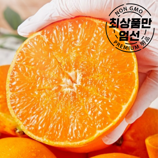 소비자만족1위 제주직송 고당도 명품 천혜향, 1세트, 고급 선물세트 5kg