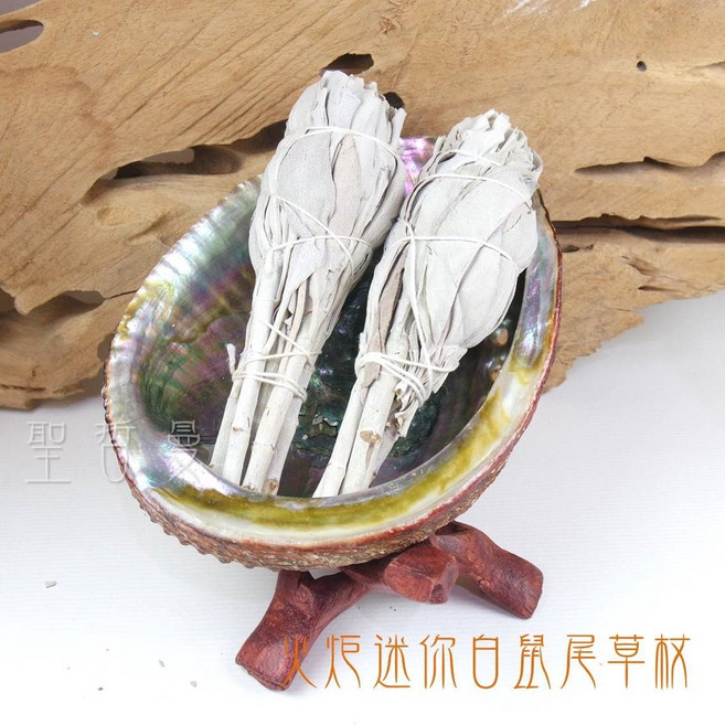 火炬迷你白鼠尾草杖(長約4吋) 白色鼠尾草 美國進口 香草專賣 聖哲曼, 1個
