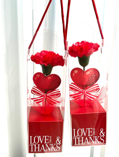 좋은날블랙버블 비누꽃 카네이션 한송이 캐리어 어버이날 스승의날 꽃선물, 2개, 레드