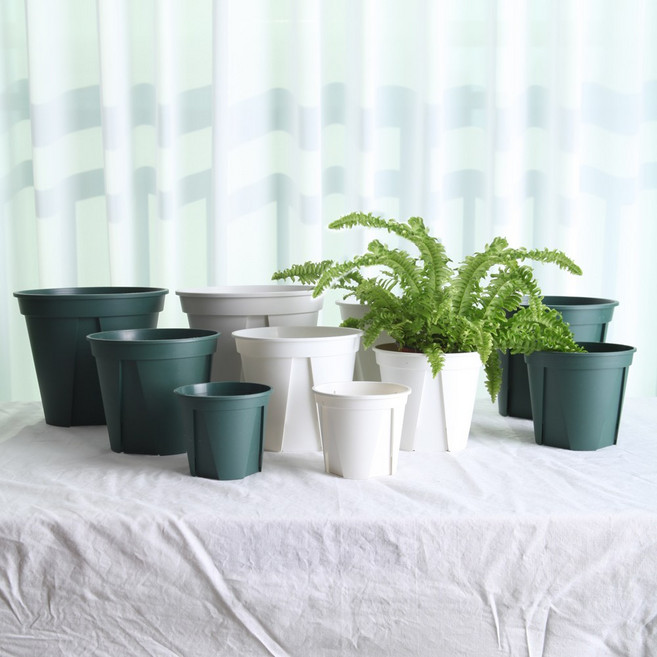 세경팜 일본 슬릿화분 플라스틱 화분 슬릿분플분, 화이트, 1개