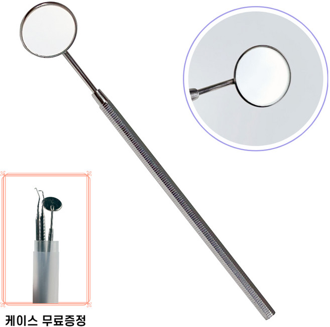 태리 셀프 의료용 구강 스텐 치석제거기 스케일러 - 케이스증정, 치경, 1개