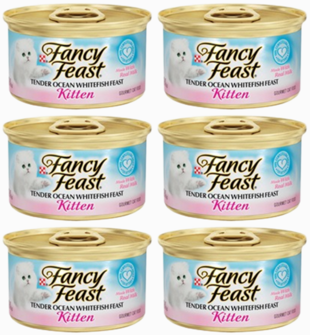 팬시피스트 텐더 키튼 주식캔, 흰살생선, 85g, 6개