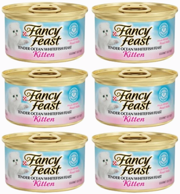 팬시피스트 텐더 키튼 주식캔, 흰살생선, 85g, 6개 - 쿠팡