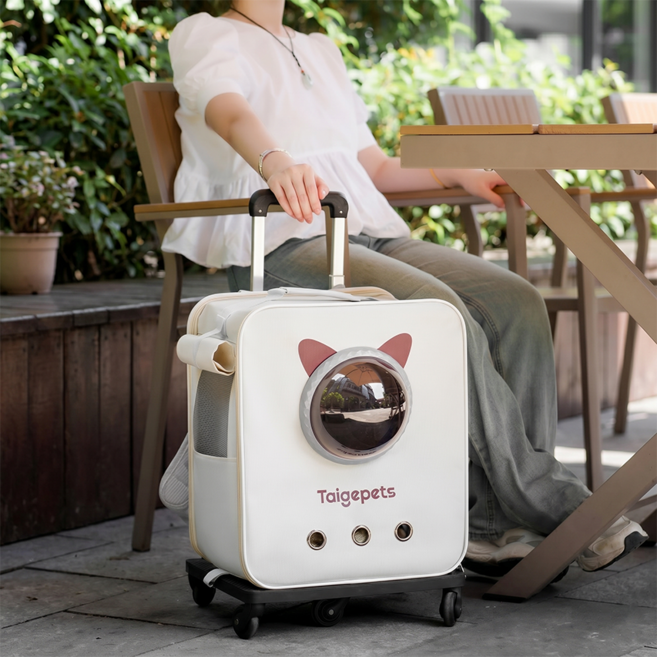 저소음 2in1 반려동물 이동장 고양이 강아지 백팩 캐리어 우주선 가방, 1개, 아이보리
