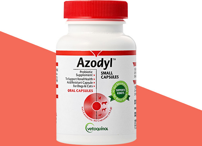 [베토퀴놀] 강아지 고양이 아조딜 90캡슐 (아이스팩 2개 제공), 1개, 신장, 90회분