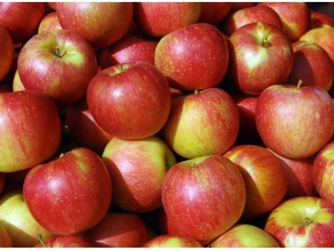 청송사과 홍로 부사 아오리 사과 가정용, 1박스, 빨간사과(부사)/중대과(275g이상)가정용/3kg