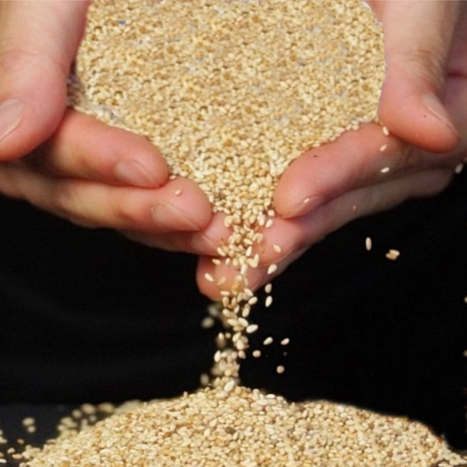 [도블] 볶음 수입 통깨 참깨, 1개, 500g