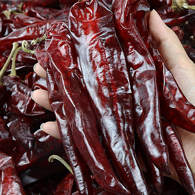 청송 국산건고추 건고추 햇 말린고추, 청양_건고추, 1개, 3kg