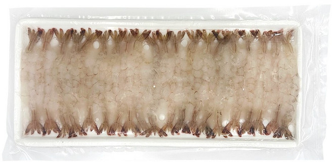 노바시새우 30미(300g), 2개