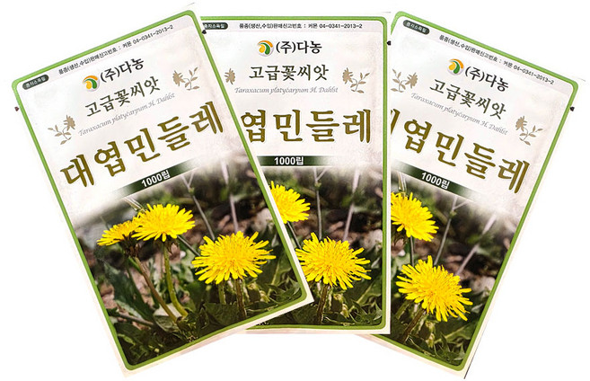 대엽민들레 1000립 다농 26년 3봉묶음할인