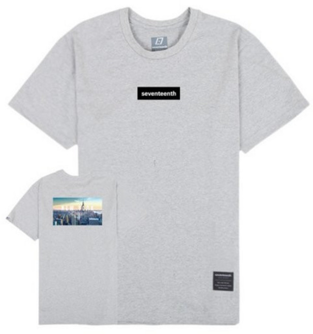 SEVENTEENTH CITY VIEW NEW YORK TEE - GRAY
