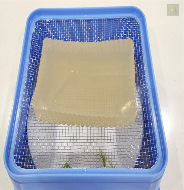 73스토어 묵국수 묵사발 채칼, 사각묵채