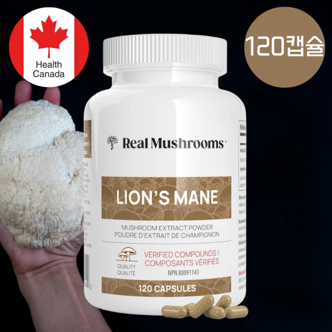 캐나다 식약청 승인 유기농 노루궁뎅이버섯 베타글루칸 효능 추출물 뇌 영양제, 1개, 120정 - 쿠팡