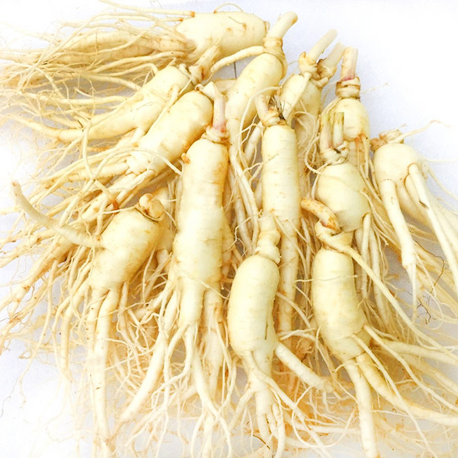 국산 가정용 싱싱한 인삼 세척 난발삼 5-7편(300g), 1개
