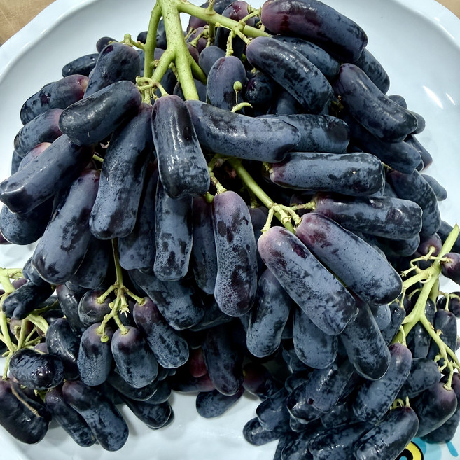 고당도 씨없는 블랙사파이어포도 가지포도 적포도 간식포도, 1개, 2000g