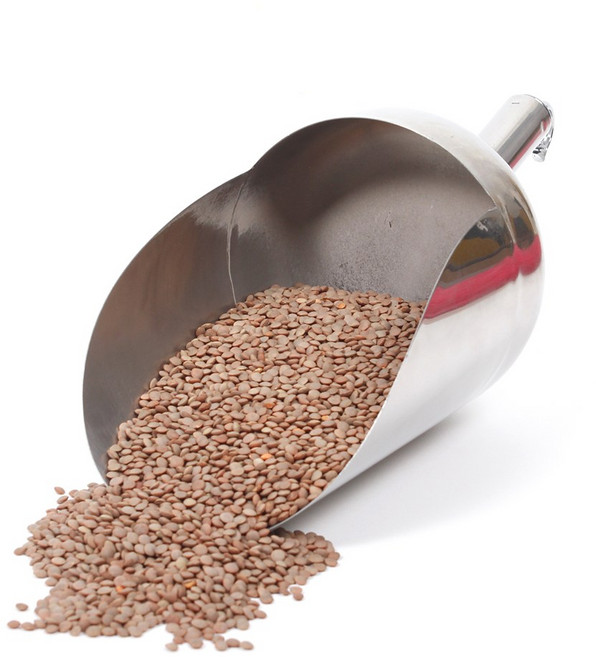 청산곡물 렌틸콩 1kg, 10개