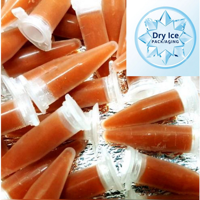 브라인쉬림프 튜브 30개 (열대어 구피먹이 디스커스 금붕어먹이 한국 중국 제조특허등록 아스타잔틴 냉브), 42g, 1개