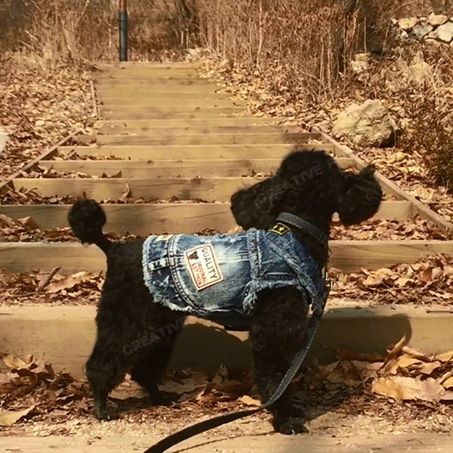 크레이티브펫[city스카프 증정] 빈티지 청자켓 기타, 1개