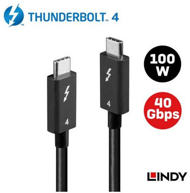 LINDY 林帝 THUNDERBOLT 4 傳輸線 100W 40Gbps, 1個, 31120 1M