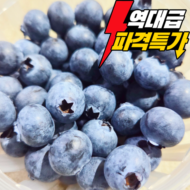 [백화점납품] 새벽경매로 가장 신선한 국내산 생블루베리 생과, 1박스, 1kg