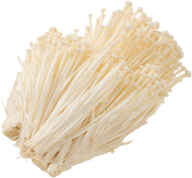 맛통령 국내산 무농약 팽이버섯, 20개, 150g