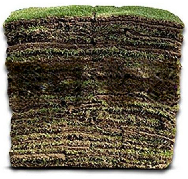 서경농원 롤잔디 2장1박스 롤200장 운송비 착불, 200개