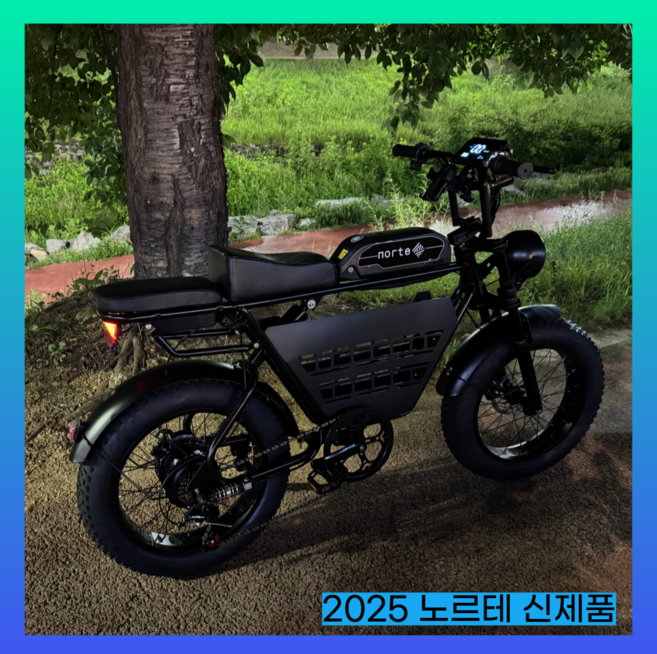 노르테 전기 자전거 자토바이 전동 스쿠터 팻바이크 MTB 배달용 출퇴근용, S1 럭셔리, 스틸