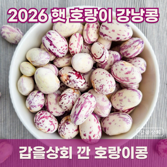 [갑을상회] 26년 국산 호랑이콩 햇 호랑이강낭콩, 300g, 1개