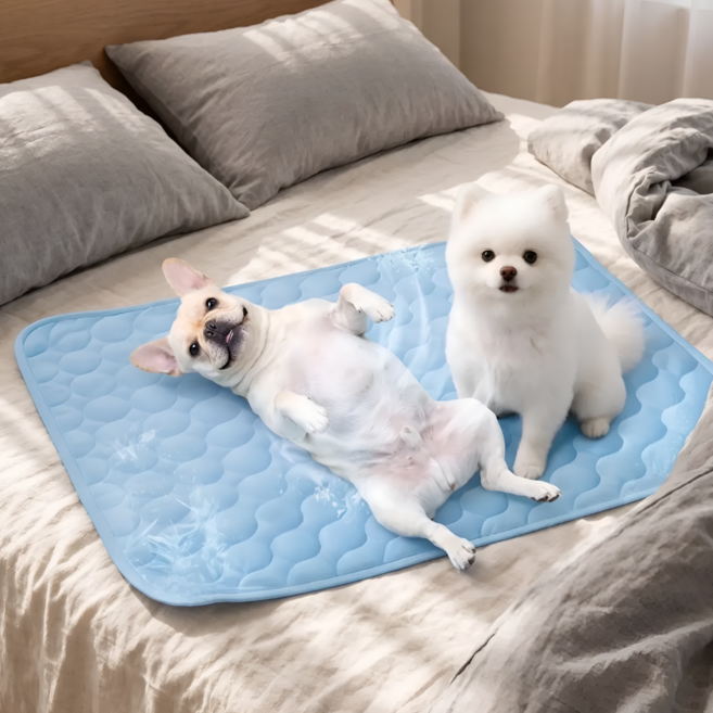 지티오비 강아지 쿨방석 냉감매트 애견 반려견 쿨링매트, 1개, 블루