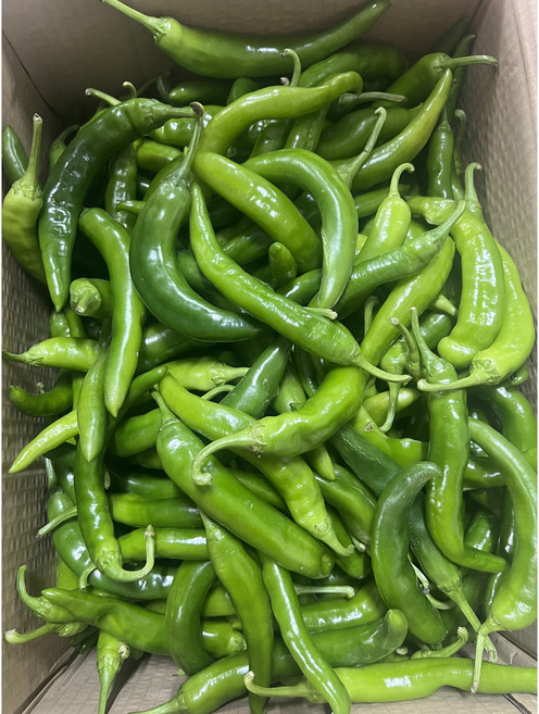 오이맛고추 풋고추 오이고추 못난이 1kg, 오이고추 상 5kg, 1개