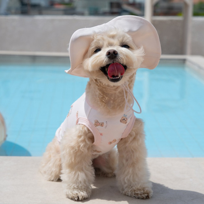 베일리펫 강아지 여름 해충방지옷 쿨링 버그가드, 1개, 핑크