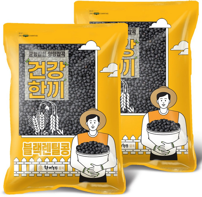 한끼농산 블랙렌틸콩 슈퍼푸드 렌즈콩, 2kg, 2개