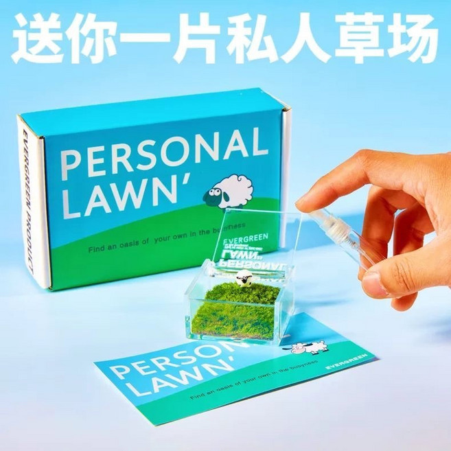 個人草坪微景觀苔蘚盆栽，室內好養綠植擺件，辦公室桌面迷你創意禮物, 1個, 私人草場-小號【一隻羊】【送養護套餐】