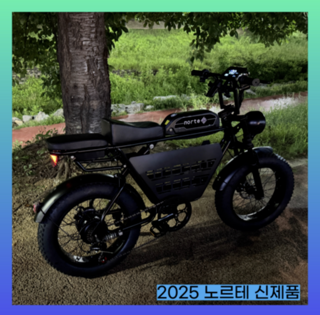 노르테 전기 자전거 자토바이 전동 스쿠터 팻바이크 MTB 배달용 출퇴근용, Y1 럭셔리, 스틸