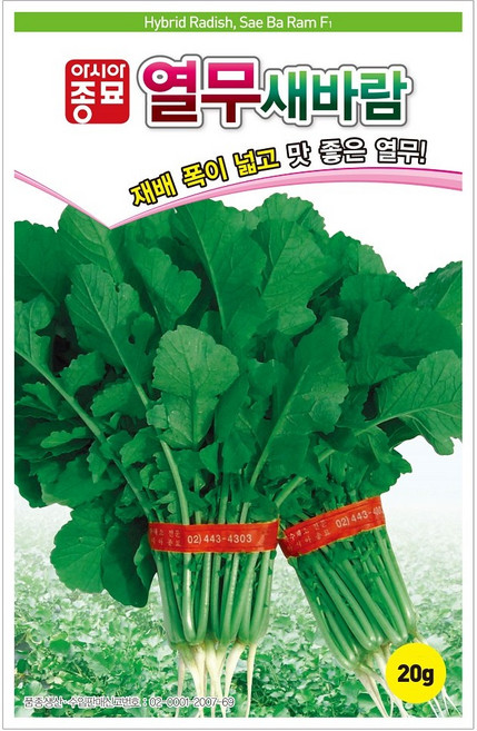 열무씨앗 새바람열무(20g), 1개